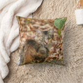 秋猫 クッション (ブランケット)