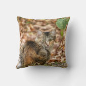 秋猫 クッション (裏面)