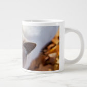 秋猫 ジャンボコーヒーマグカップ (右)