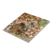 秋猫 タイル (側面)