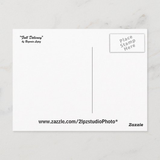 秋珍味 ポストカード (裏面)