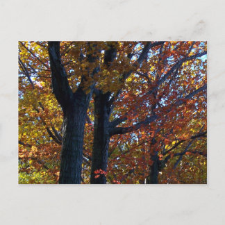 秋珍味 ポストカード