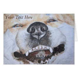 秋田おもしろいの笑顔のかわいい犬の写真