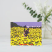 秋田くま ポストカード (スタンド正面)