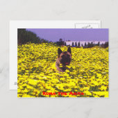 秋田くま ポストカード (正面/裏面)