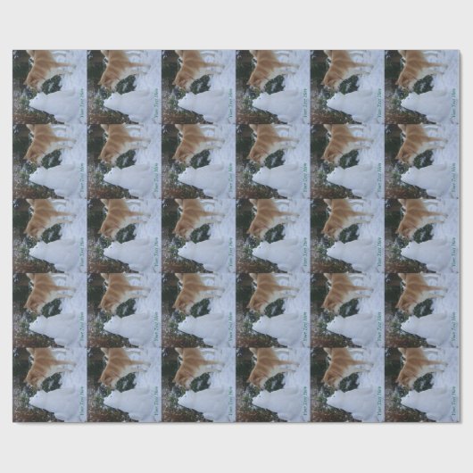 秋田のキスをするな雪だるまの秋田のかわいい写真 ラッピングペーパー (フラット)