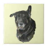 秋田のジャーマン・シェパードは品種犬の芸術のタイルを混合しました タイル (正面)