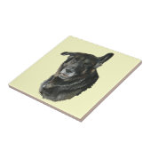 秋田のジャーマン・シェパードは品種犬の芸術のタイルを混合しました タイル (側面)