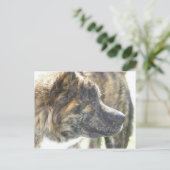 秋田のポストカード ポストカード (スタンド正面)