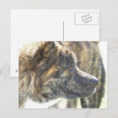 秋田のポストカード ポストカード (正面/裏面)