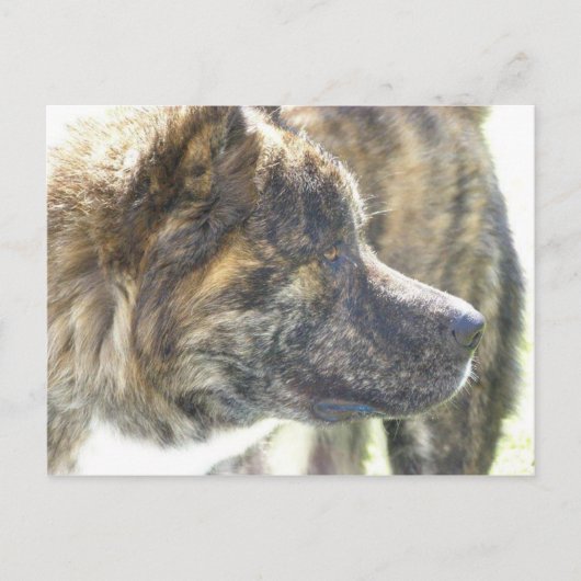 秋田のポストカード ポストカード (正面)