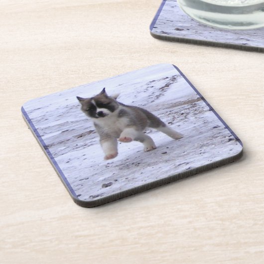 秋田の子犬 コースター (左側)