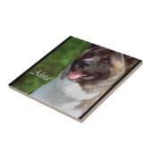 秋田アート タイル (側面)