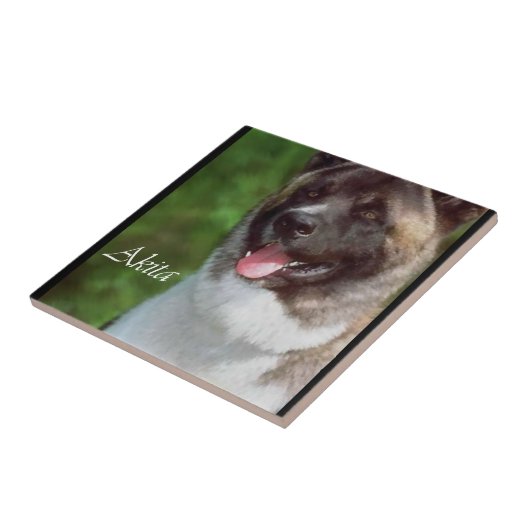 秋田アート タイル (側面)