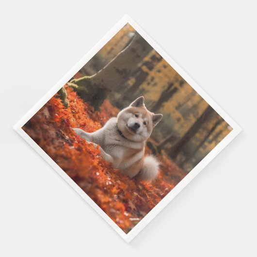 秋田イン紅葉秋 (コーナー)