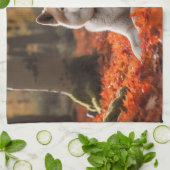 秋田イン紅葉秋 キッチンタオル (折り畳み)