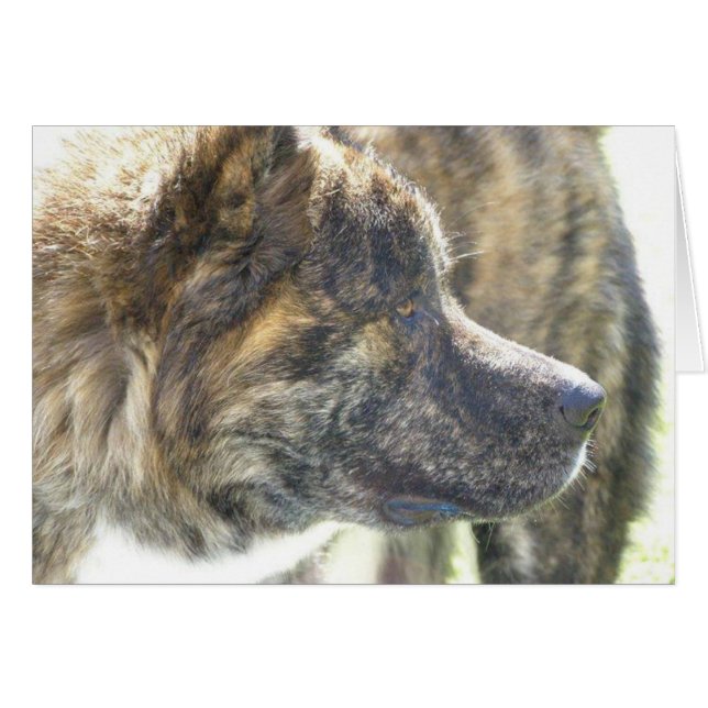 秋田カード (正面横)