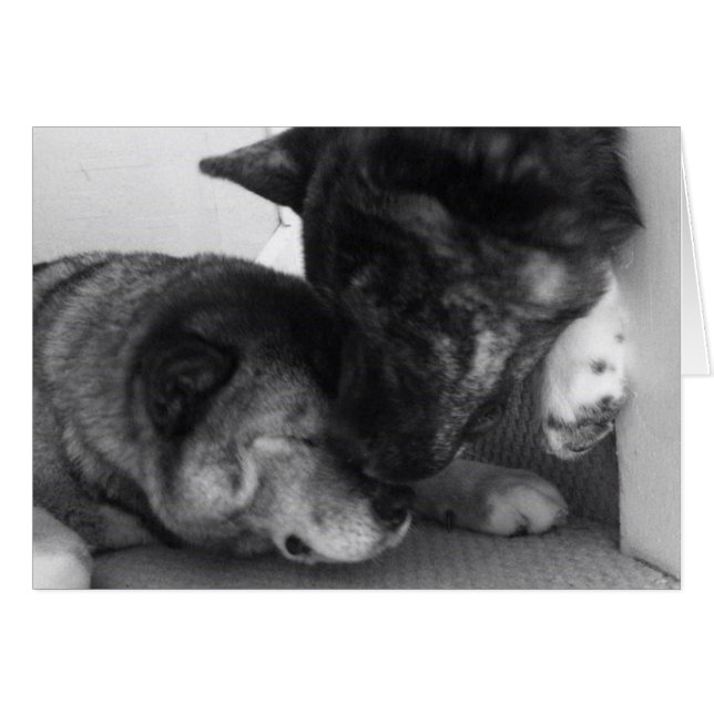 秋田カード (正面横)