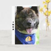 秋田カード カード (黄色い花)