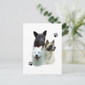 秋田トリオ ポストカード (スタンド正面)