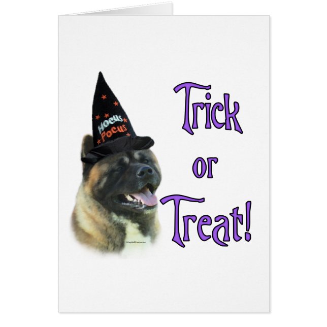 秋田トリック (正面)