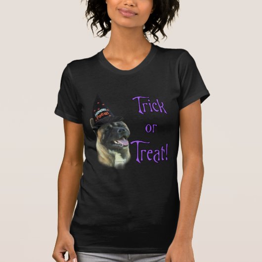 秋田トリック Tシャツ (正面)
