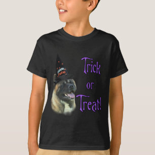 秋田トリック Tシャツ