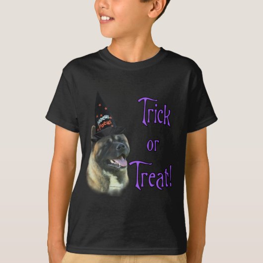 秋田トリック Tシャツ (正面)
