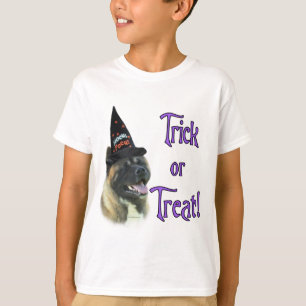 秋田トリック Tシャツ