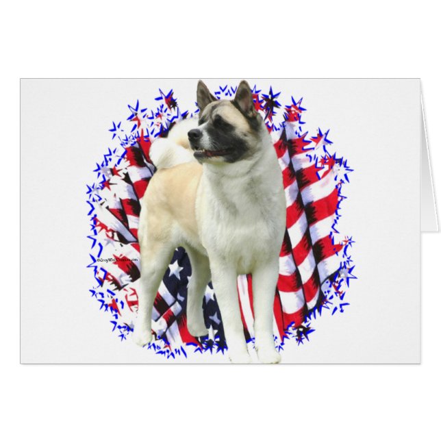 秋田パトリオ (正面横)