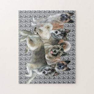 秋田ファミリーグループパズル ジグソーパズル