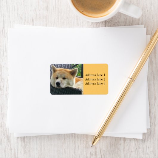 秋田写真住所 シール (インサイチュ)