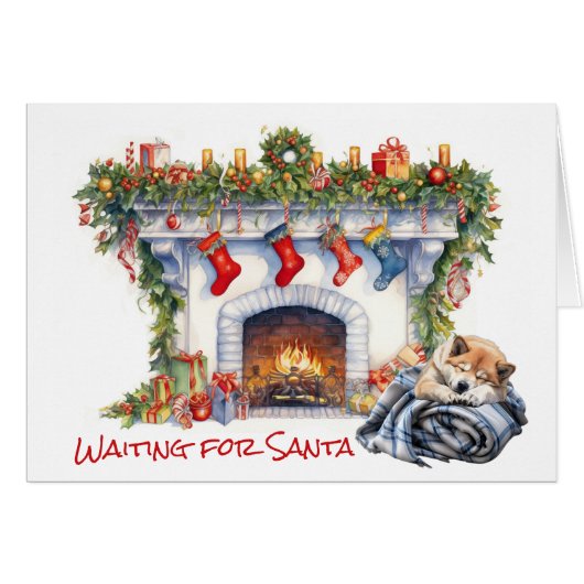 秋田犬がサンタを待つ (正面横)