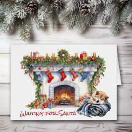 秋田犬がサンタを待つ