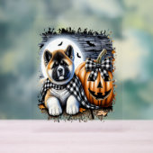 秋田犬ハロウィーン広場 アクリルサイン (ニュートラル)