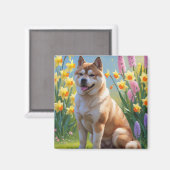 秋田犬 春の花の絵 マグネット (正面/裏面)