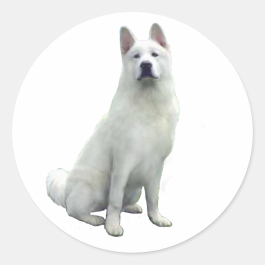 秋田犬 - 白 ラウンドシール (正面)