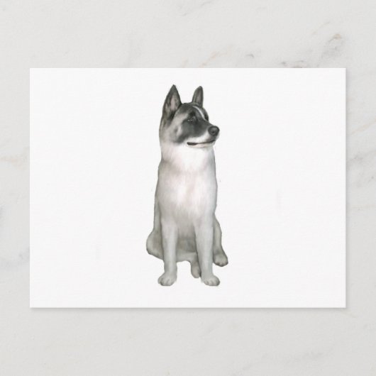 秋田犬(A)- (黒いマスク) ポストカード (正面)