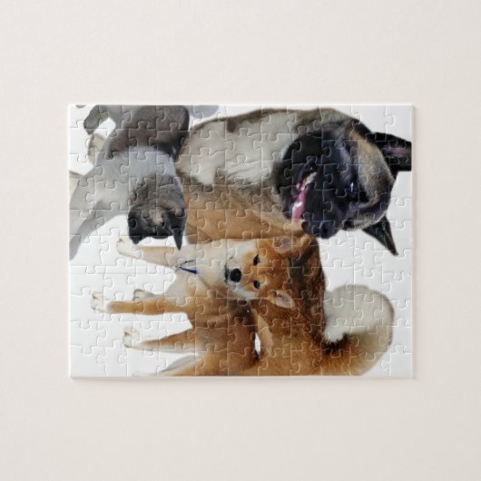 秋田遊 ジグソーパズル (横)