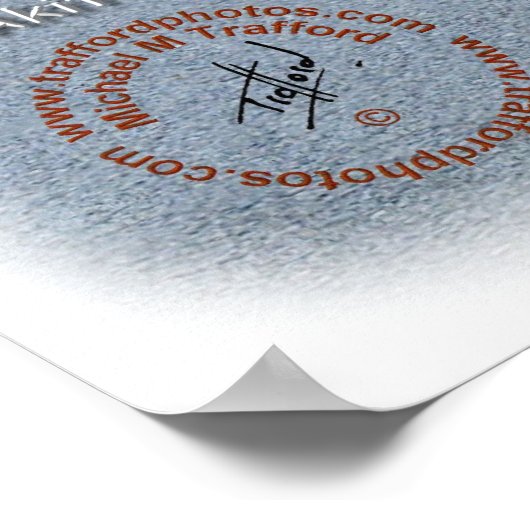 秋田8P004D-12 ポスター (角)