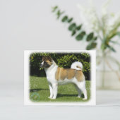 秋田9R047D-143 ポストカード (スタンド正面)