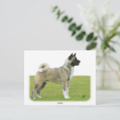 秋田9R071D-147 ポストカード (スタンド正面)