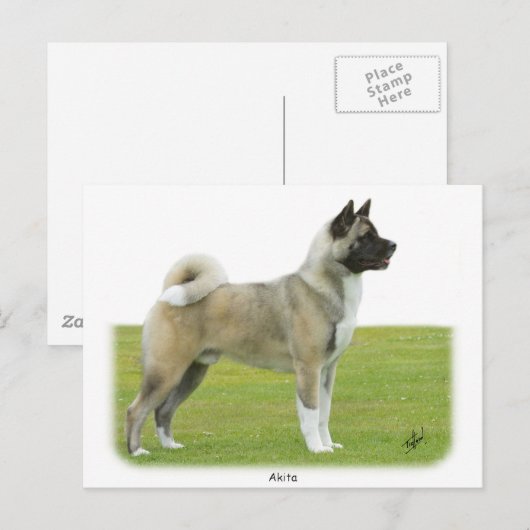 秋田9R071D-147 ポストカード (正面/裏面)