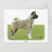 秋田9R071D-147 ポストカード (正面)