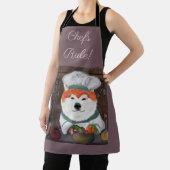 秋田 エプロン (インサイチュ)