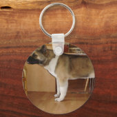 秋田 キーホルダー (正面)