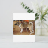 秋田 ポストカード (スタンド正面)