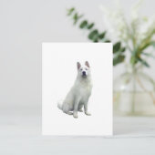 秋田 – 白 ポストカード (スタンド正面)