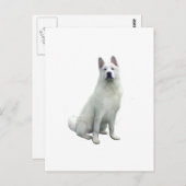 秋田 – 白 ポストカード (正面/裏面)