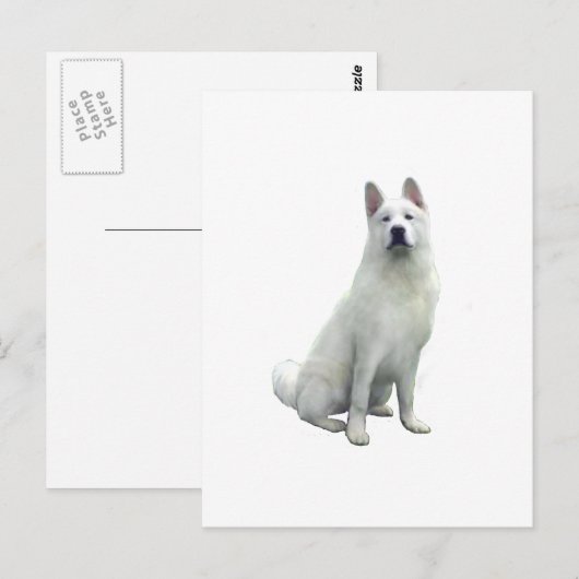 秋田 – 白 ポストカード (正面/裏面)